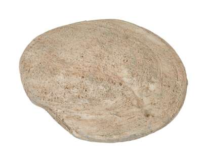 Harry Potter and the Prisoner of Azkaban | Robbie Coltrane "Rubeus Hagrid" Skipping Stone Prop | Julien’s