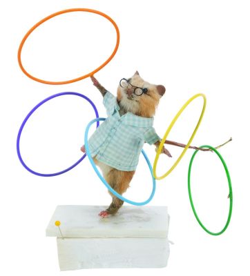 Lot 32 - A “Dinner for Schmucks?? Prop Taxidermy Hula Hoop Mouse. | Van Eaton Galleries