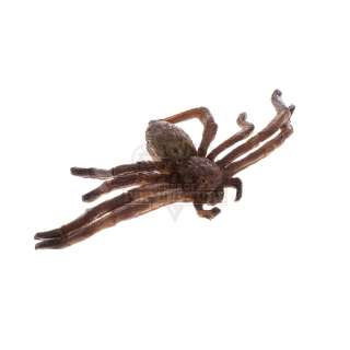 Lot 28 - Arachnophobia - Prop Spider - A595