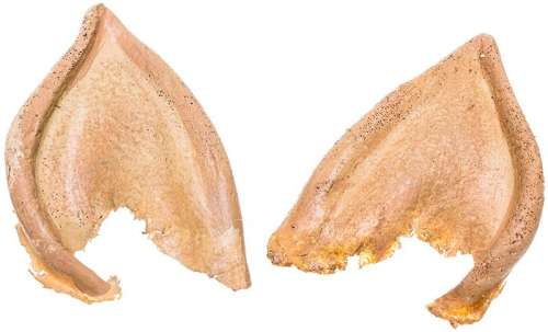 Star Trek: The Voyage Home Spock Vulcan Ear Prosthetics | Propworx