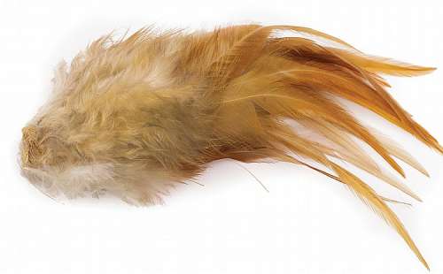 Lot 680 - Small creature eaten outside Jabba‘s palace in Star Wars: Episode VI- Return of the Jedi.