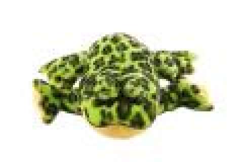 Sons of Anarchy | Abel’s Stuffed Frog | ScreenBid
