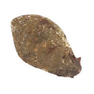 DRAGONSLAYER (1981) - Lot 875 - Vermithrax Pejorative Scale