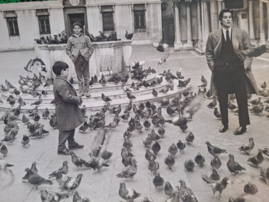 APIS - Alain Delon, ’Le Professeur’ 1972 | Catawiki