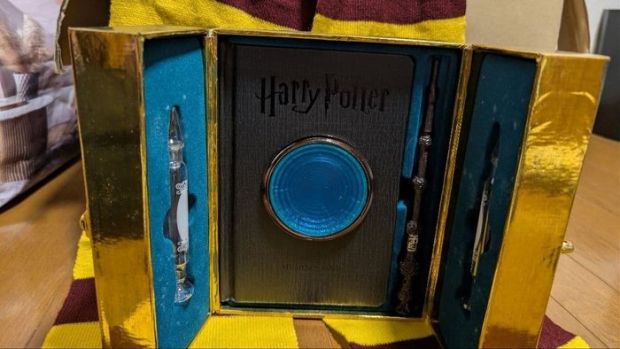 Harry Potter - Warner Bros. / Wizarding World - Harry Potter | Catawiki