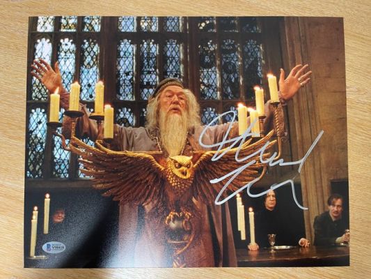 Harry Potter - Michael Gambon | Catawiki