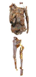 POLTERGEIST - Corpse Components