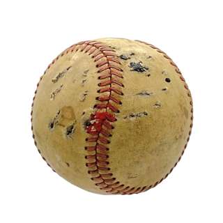 Lot #100: Knives Out Screen Used Dog Baseball: Authentic Auction Item | VIP Fan Auctions | VIP Fan Auctions
