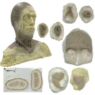 The Last Voyage of the Demeter Dracula / Nosferatu (Javier Botet) In Emaciated Form Production Used Cowl, Right Cheek, Left Cheek, Forehead, Nose, Ear, & Chin Prosthetics Set | VIP Fan Auctions