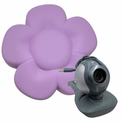 Lot 8: The Drama Young Emma Screen Used Webcam & Flower Light | VIP Fan Auctions