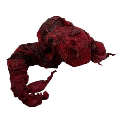 Lot 9: Mother Mary Red Woman Screen Used Red Dyed Cloth And Organs Prosthetic Sc 21 | VIP Fan Auctions