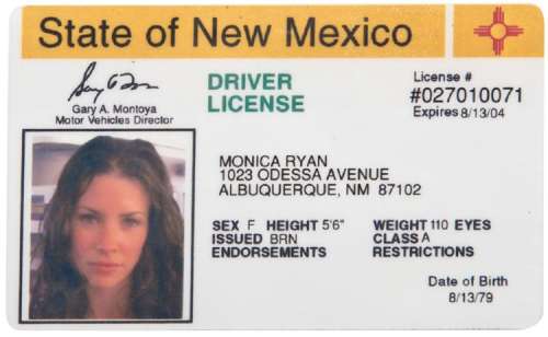 Lot 1038 - Evangeline Lilly "Kate" New Mexico Drivers License and Bus Ticket to Florida from Lost.