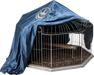 Petyr "Littlefinger" Baelish (Aidan Gillen) Gyrfalcon Cage and Cover from Game of Thrones (HBO® Original 2011-2019, Season 6). (Total: 2 Items)