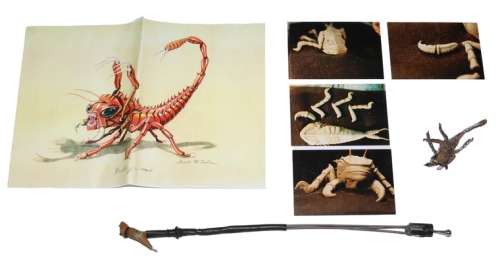 Sandking Creature Production Prop from The Outer Limits TV Show Episode Written by Game of Thrones creator George R.R. Martin - 1995 | SWAU