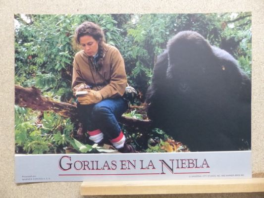 Hollywood - Lot of 72 - Spanish Lobby Cards c1970-c1990 | Catawiki