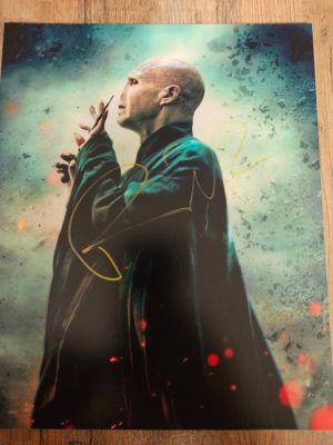 Harry Potter - Ralph Fiennes - with COA | Catawiki