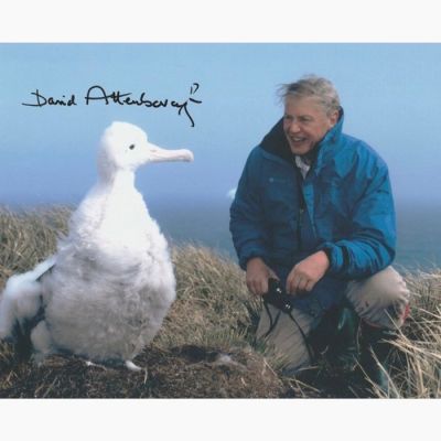 TV and Documentary Legend - Signed by Sir David Attenborough | Catawiki