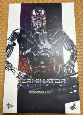 Hot Toys - Action figure Hot Toys Movie Masterpiece MM#352 Terminator Genisys Endoskeleton – 1/6 Scale | Catawiki