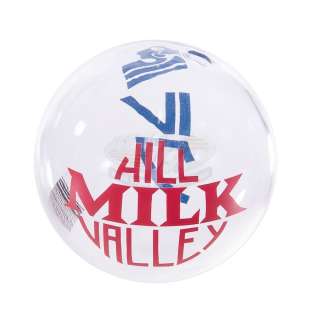 Back To The Future 2 - 2015 Hill Valley Milk Bottle - 17686 | ScreenUsed