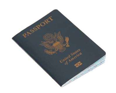 Under The Dome - Lot 420 - Barbie‘s Passport