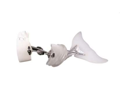 Dolphin Tale 2 Winter’s Hero Prosthetic Dolphin Tale Movie Props | Premiere Props