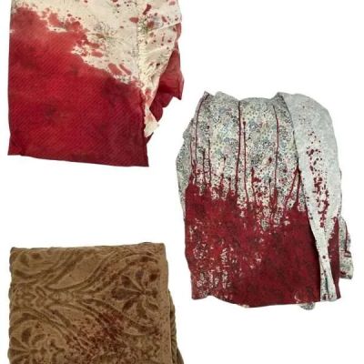 Lot 74: Onslaught Screen Used Sheet W/ (3) Clothes Pins, Towel W/ Clothes Pin & Curtain | VIP Fan Auctions