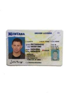 The Dog Jackson Briggs (Channing Tatum) Driver’s License Movie Props | Premiere Props