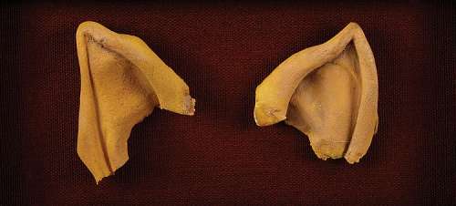Lot 1610 - Mark Lenard original "Vulcan" ears from Star Trek VI: The Undiscovered Country.
