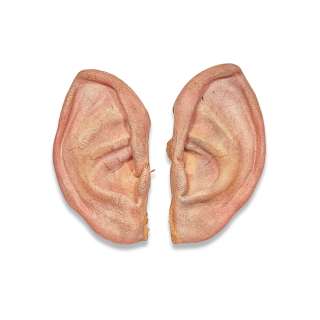 The Lord of the Rings: Production-Worn Hobbit Ears for ’Merry’ played by Dominic Monaghan in The Return of the King, New Line Cinema, 1999-2000, | Bonhams