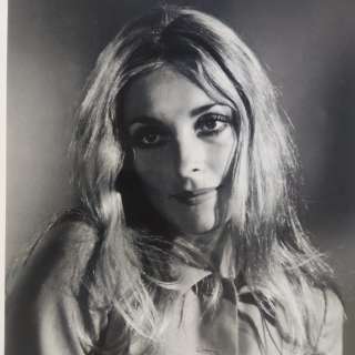 The wrecking crew - Sharon tate promotional photo | Catawiki