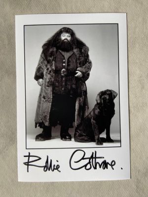 Harry Potter - Robbie Coltrane | Catawiki