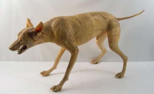 Lot 156 - I Am Legend Mutant Attack Dog Prop