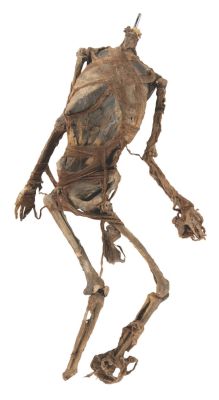 Lot 1527 - A Mummy Prop from The Great Movie Ride. | Van Eaton Galleries