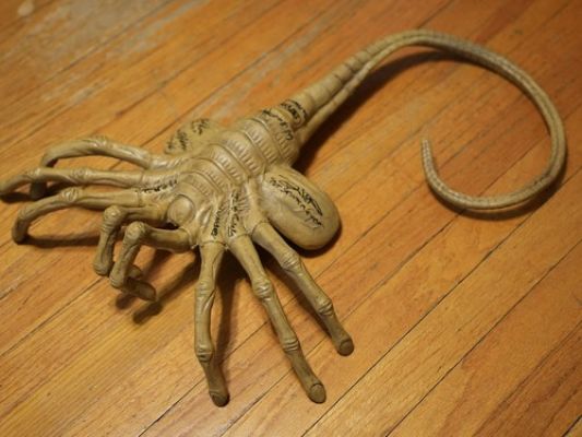 LIFESIZE ALIENS MOVEABLE FACEHUGGER SIGNED BY 7 CAST MEMBERS