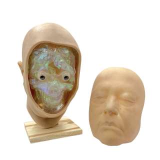 American Horror Story (2011-) Miriam Mead (Kathy Bates) Production Used Face Implant & Skull Ep 808 | VIP Fan Auctions