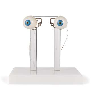 ET Animatronic Creature Eyeballs | Studio Auctions