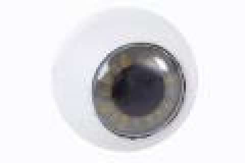 Breaking Bad - Lot 197 - Eyeball