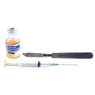 Dexter (T.V. Series, 2006-2013) - Lot 109 - Dexter Morgan‘s (Michael C. Hall) SFX Scalpel and Syringe with Tranquilizer
