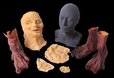Lot 887 - Collection of on-screen items and original foam castings of BrundleFly from The Fly