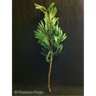 Lot 216 - Immotrals King Hyperion (Mickey Rourke) Olive Branch