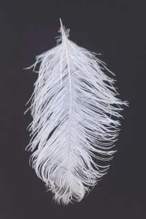 A Wingardium Leviosa Feather Prop from Harry Potter. | Van Eaton Galleries
