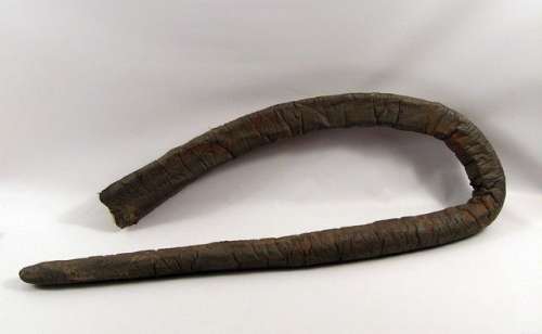 Star Wars Return Of The Jedi Sarlacc Tentacle | Premiere Props