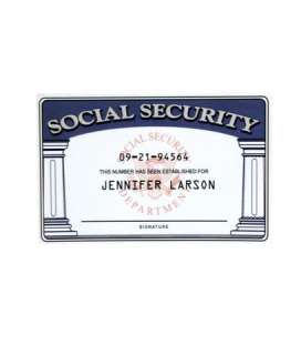 The Age of Adaline Adaline Bowman (Blake Lively) Movie Props | Premiere Props