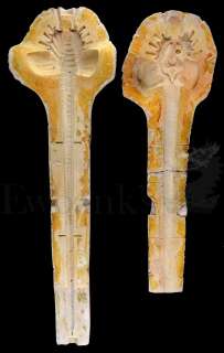 † Aliens (1986) An incredibly rare production used mould for the iconic Facehugger creature. The fac | Ewbank’s