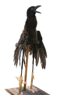 Lot 861 - Raven puppet screen-used from The Passion of the Christ.