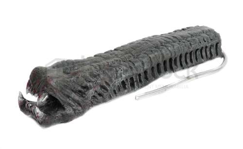 Alien vs. Predator Alien Tongue | The Prop Block