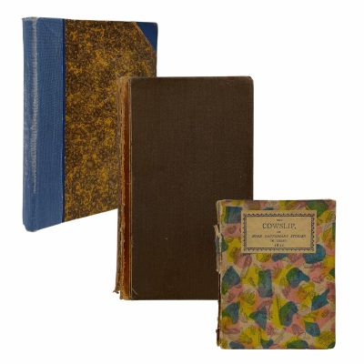 Lot 51: Wuthering Heights Nelly (Hong Chau) Production Used The Last Of The Barons, The Vicar Of Wakefield & The Cowslip Books | VIP Fan Auctions