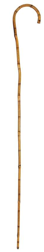 Charlie Chaplin Owned and Film Used Iconic "The Tramp" Bamboo Cane | Gotta Have Rock and Roll