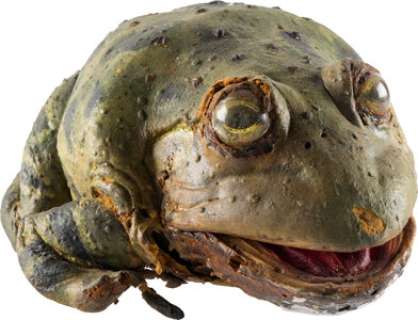 "Bud" Animatronic Frog from Budweiser Commercial (ca. 1990s). | Heritage