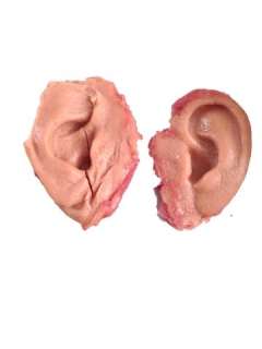 Django Dr. King Schultz (Christoph Waltz) Ears Movie Props | Premiere Props